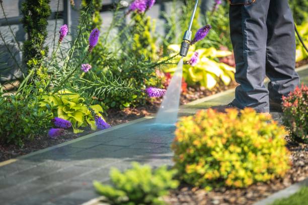 Best Parking Lot and Garage Cleaning  in Haskell, AR